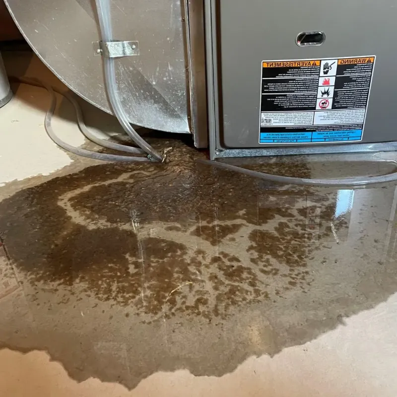 Pipe Burst and Leak Restoration in Hackleburg, AL