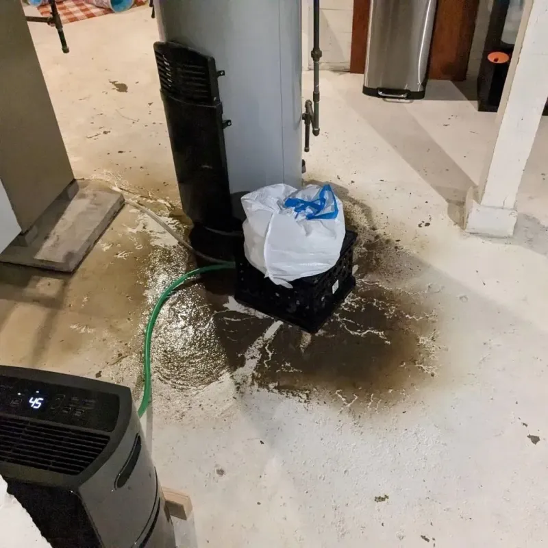 Sewage Backup Cleanup Service in Hackleburg, AL